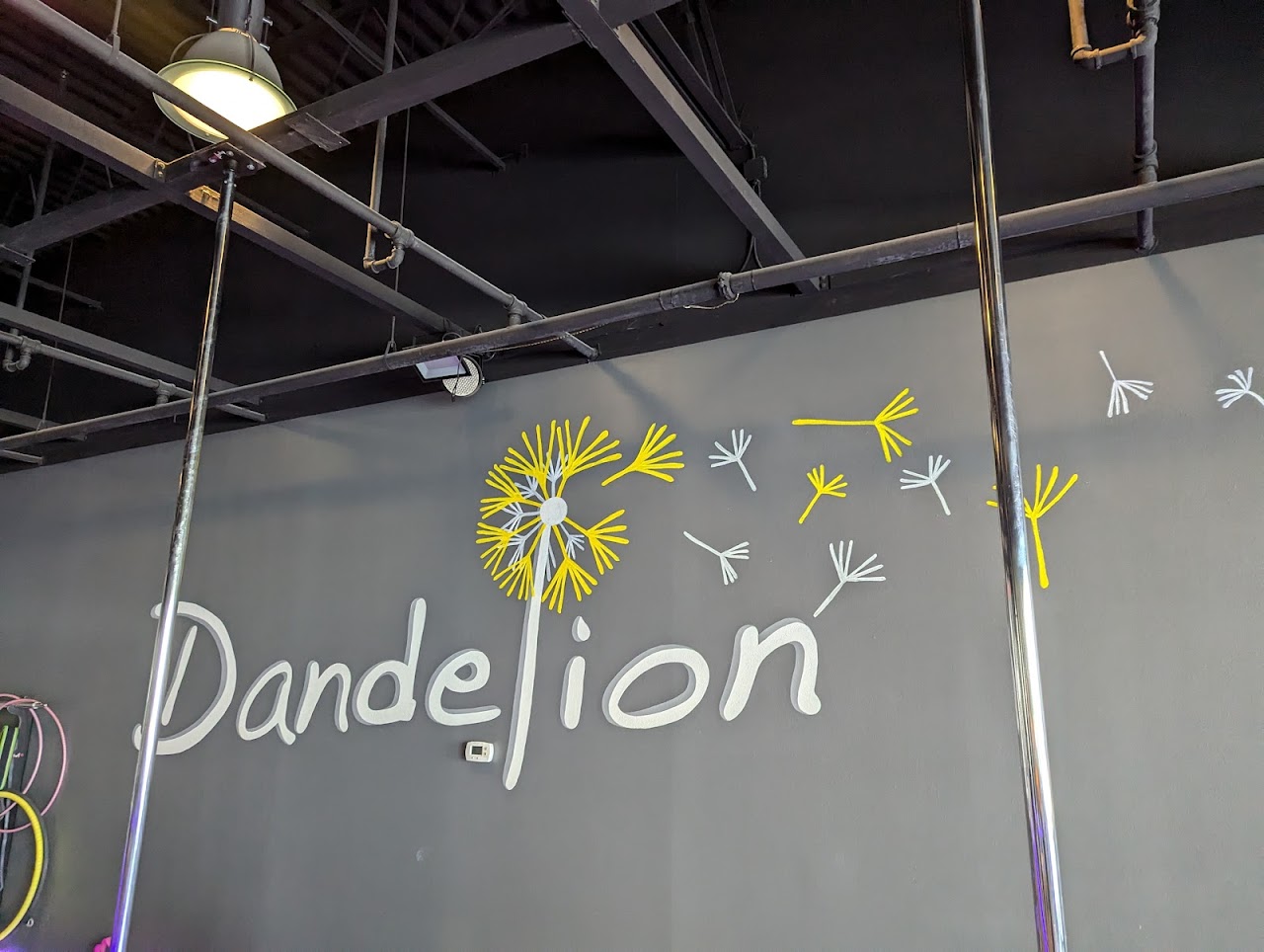 Dandelion, Orlando dance studio